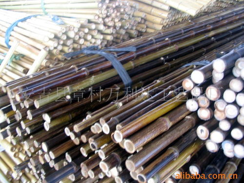 锚固精品，匠心筑基——安吉县章村万利达工艺品厂锚固产品纪实